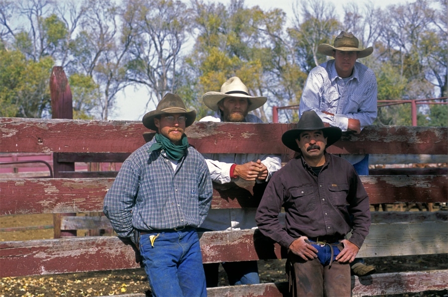 Chico Basin Cowboys (CO).
