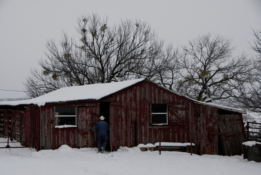 Winter Scene - TX.