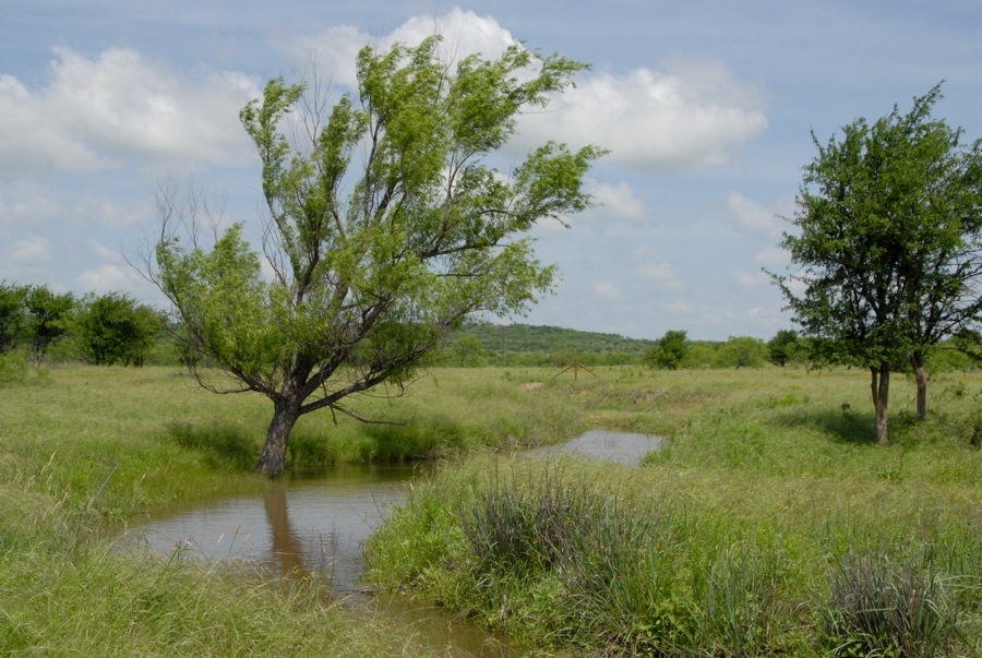 Better Days When The Rains Came (TX).