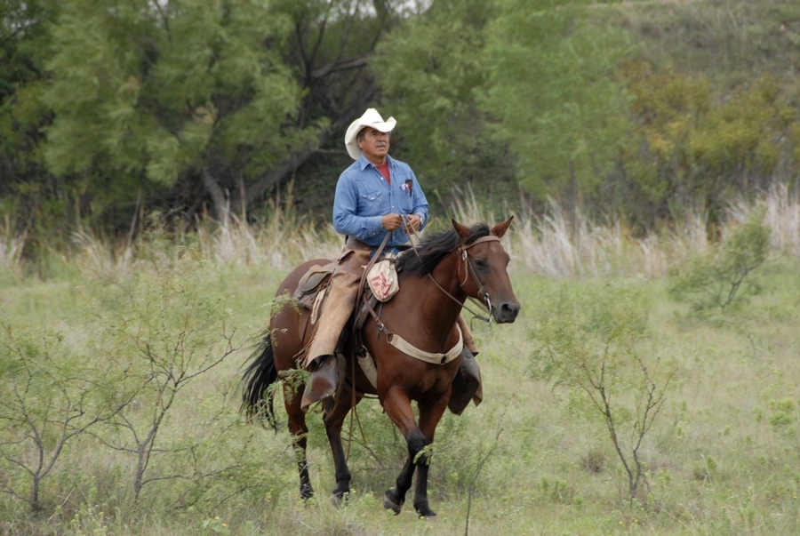 Texas Cowboys.