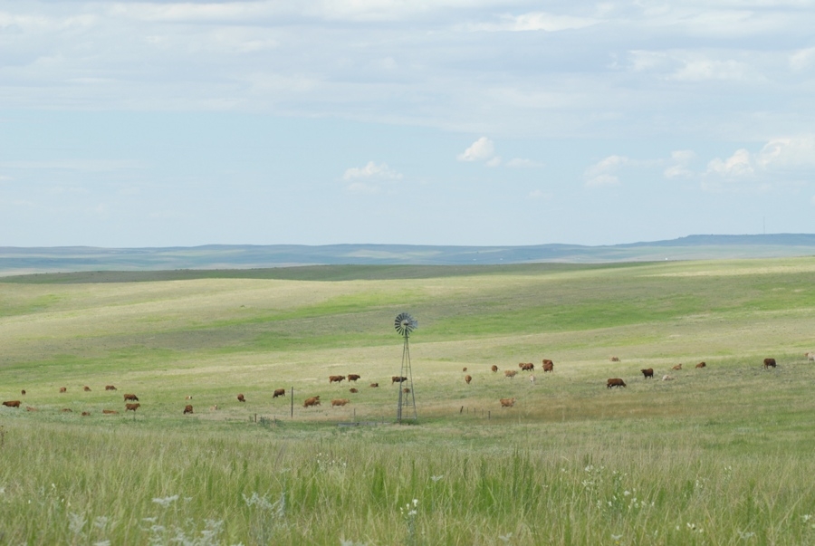 Great Plains Scene (CO).