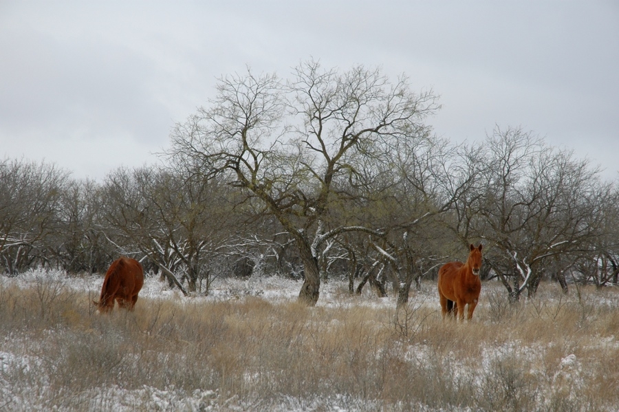 Winter.