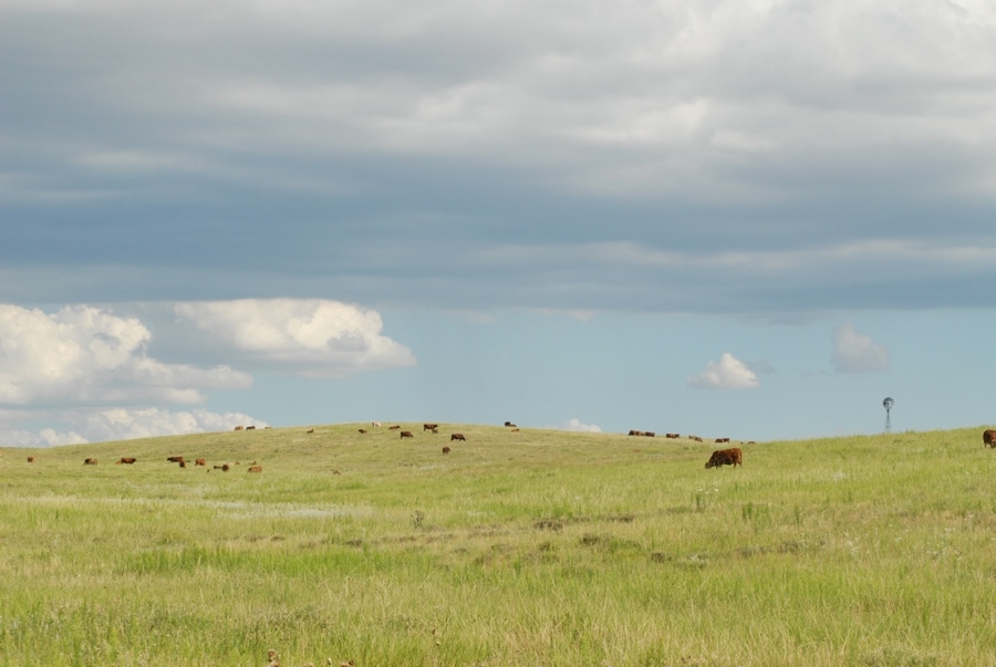 Great Plains Scene (CO).