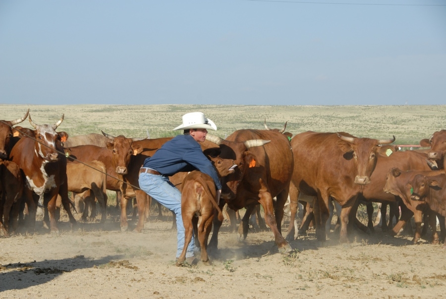 Chico Basin Ranch (CO).