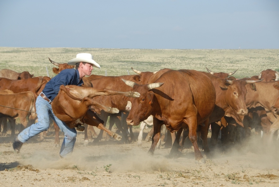 Chico Basin Ranch (CO).