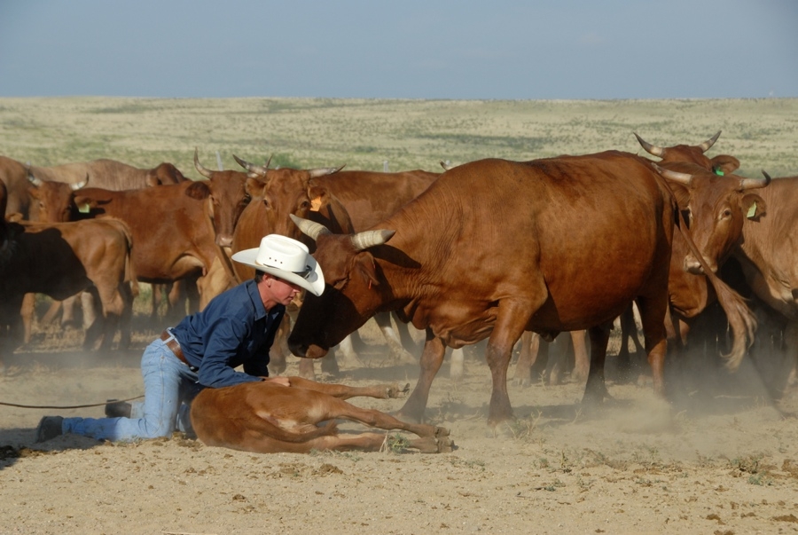 Chico Basin Ranch (CO).