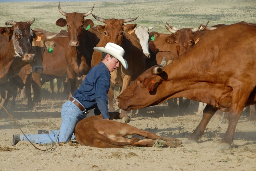 Chico Basin Ranch (CO).