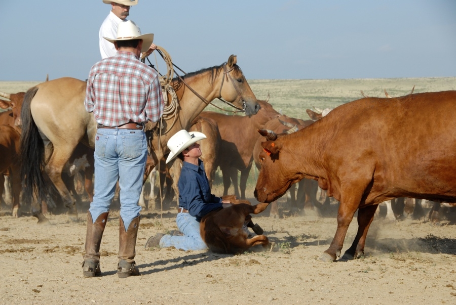 Chico Basin Ranch (CO).