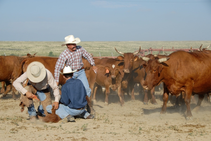 Chico Basin Ranch (CO).