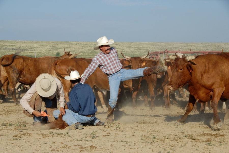 Chico Basin Ranch (CO).