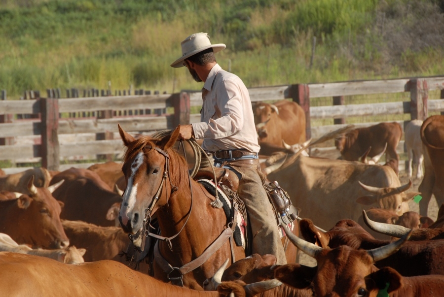 Chico Basin Ranch (CO).