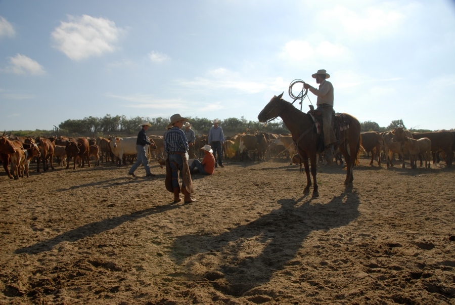 Chico Basin Ranch (CO).