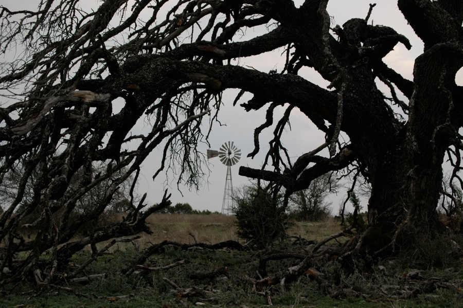 Roche Ranch Scenes - TX.