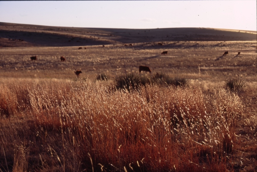 River Bend Ranch, CO.