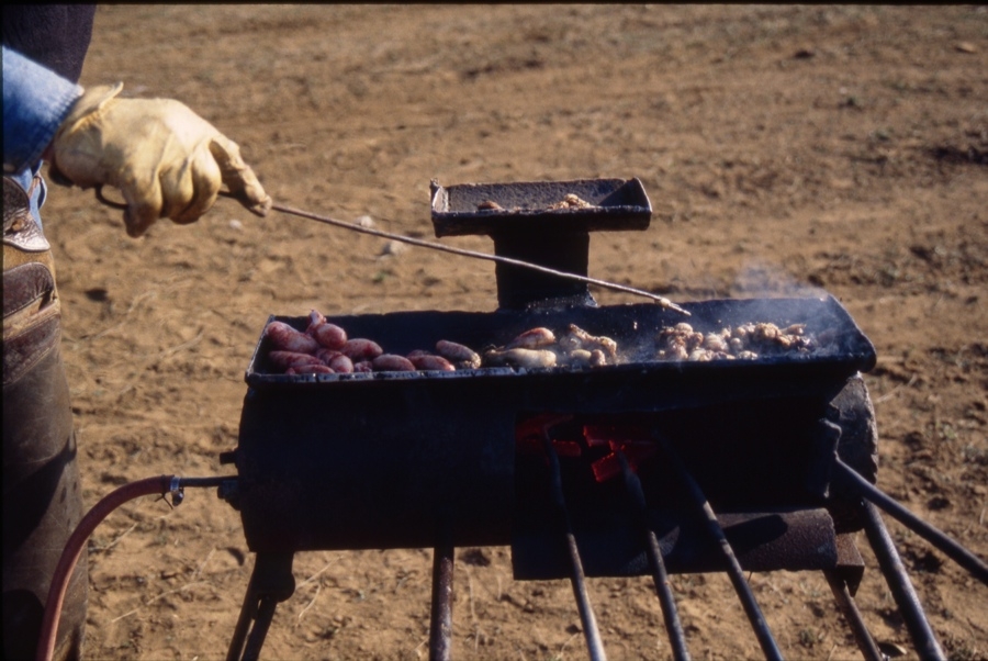 Rocky Mountain Oysters - On the Job.