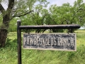 Phin Reynolds Sign